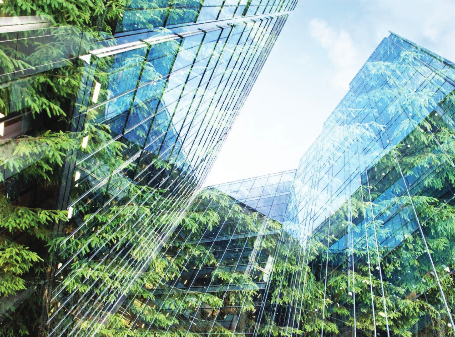 Sustainability