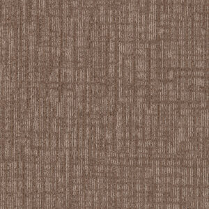 Scatter - Cinnamon