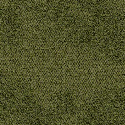 Forrest Veil HA14