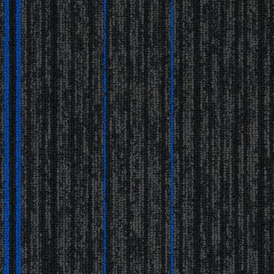 Monitor_Cable Blue_Carpet Tile