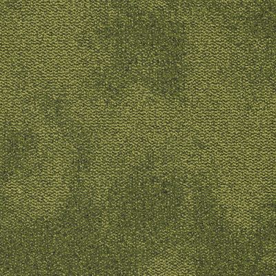 Moss Hush HA10