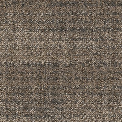 SS05 Charter_1